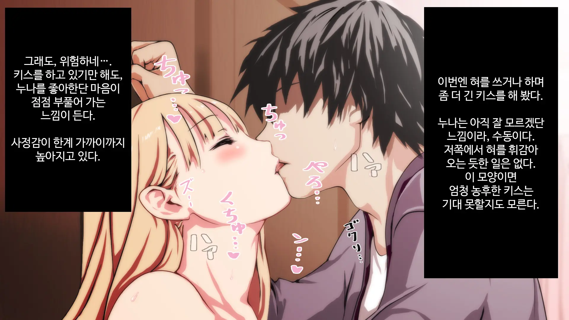 Muteikou Na Nee-San Suki Ni Shite Ii Yo...